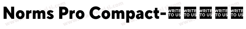 Norms Pro Compact字体转换